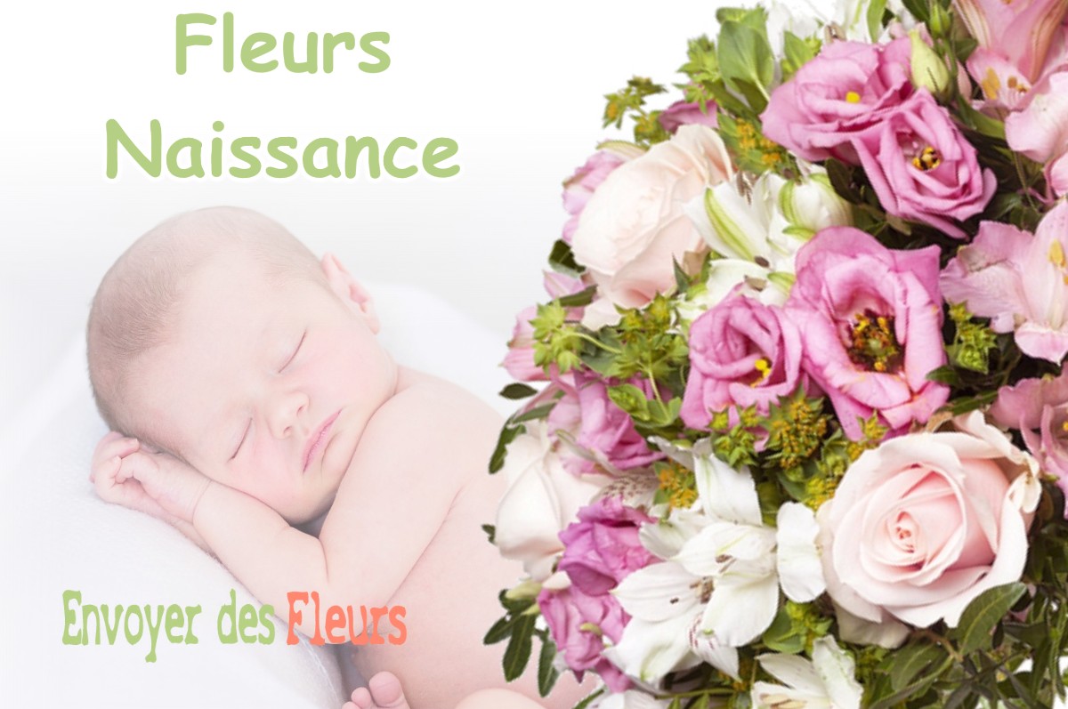 lIVRAISON FLEURS NAISSANCE à LE-VERSOUD